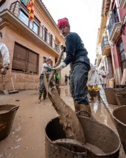 2024-11-07 Catarroja (fotos 3-5)
2024-11-12 Paiporta (fotos 1-2))
.
Vertical
.
#dana #danavalencia #catarroja #paiporta